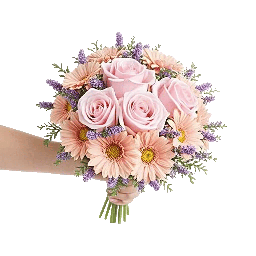 Pastel Pink Roses