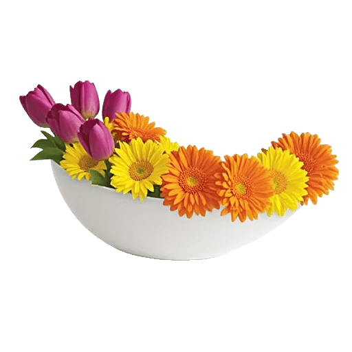 Velvet Tulip Display