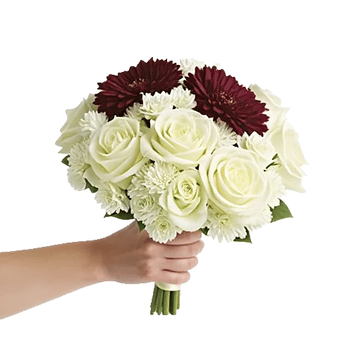 Blushing Rose Symphony