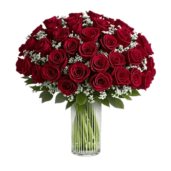 Crimson Rose Elegance