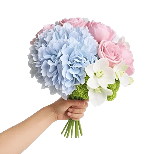 Serene Petal Harmony