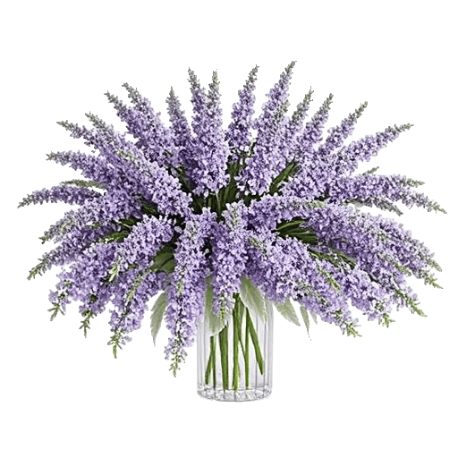 Lavender Bloom Grace