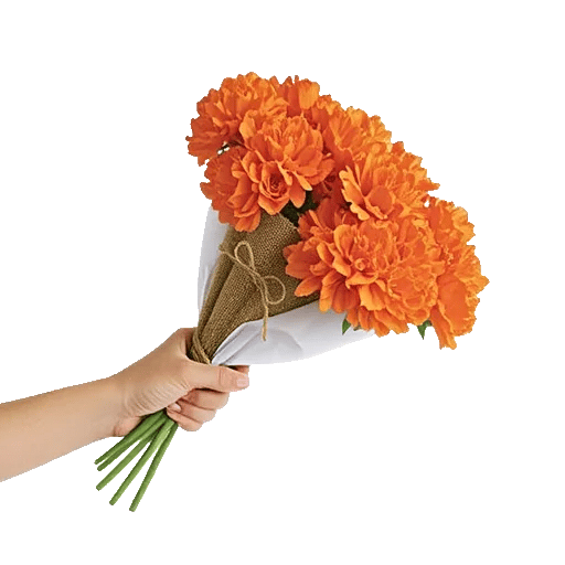 Blossom Grace Spread