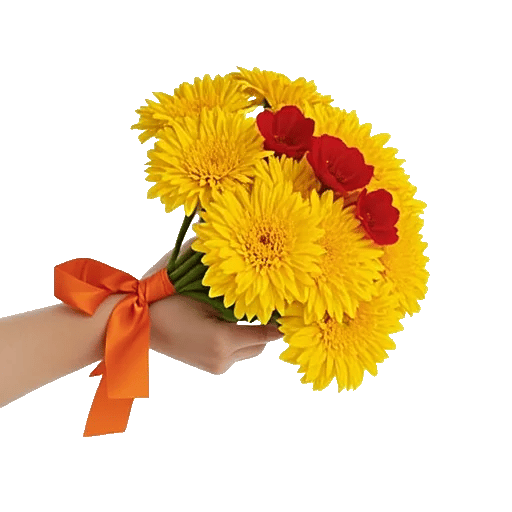 Golden Petal Harmony