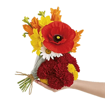 Petal Radiance Bliss