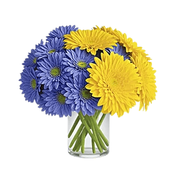 Sapphire Bloom Whisper