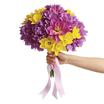 Ivory Blossom Radiance