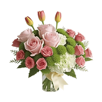 Blushing Rose Symphony