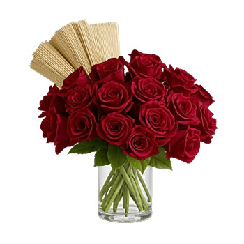 Crimson Rose Elegance