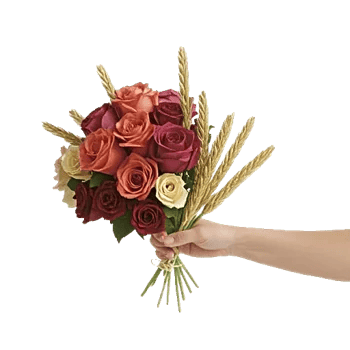 Peony Petal Harmony
