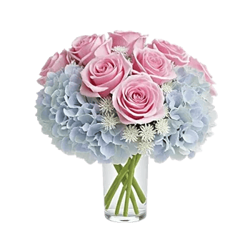 Pink Pastel Roses
