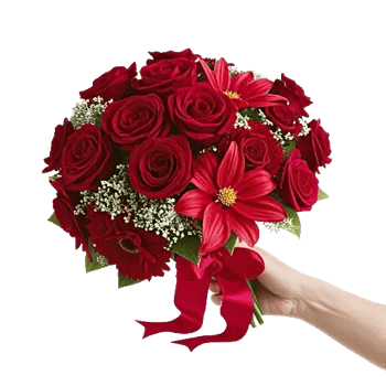 Crimson Rose Elegance