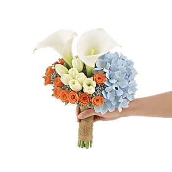 Elegant Calla Lilies