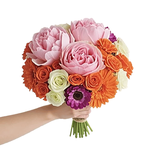Peony Petal Harmony