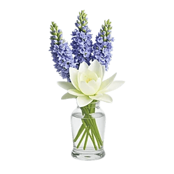 Graceful Lily Display