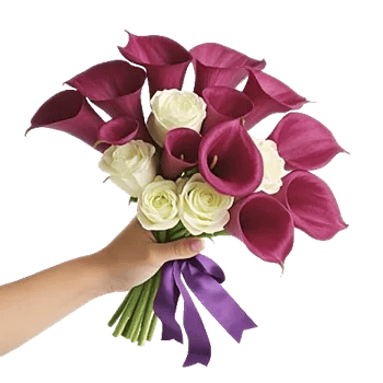 Elegant Calla Lilies