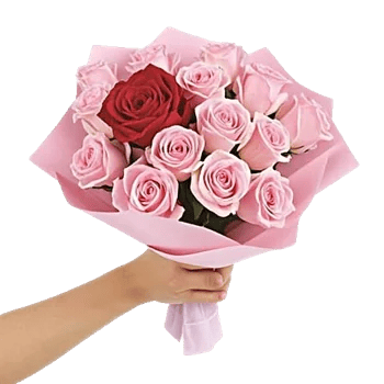 Blushing Rose Symphony