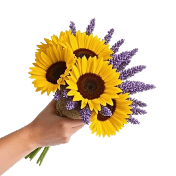 Twinkling Sunflower Dance