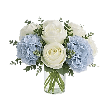 Blooming Serenity Display