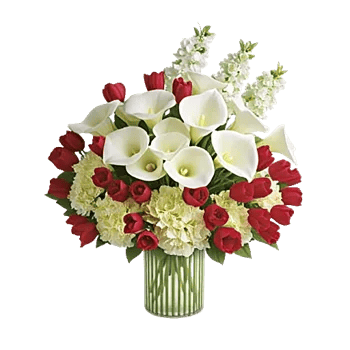 Elegant Calla Lilies