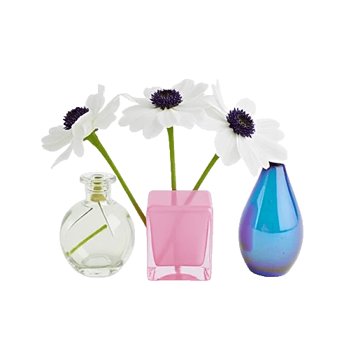 Ivory Blossom Radiance