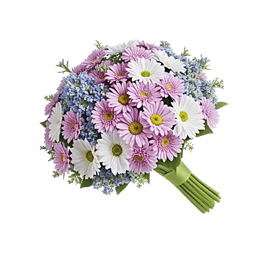 Blossom Petal Serenity