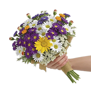 Petal Harmony Bliss