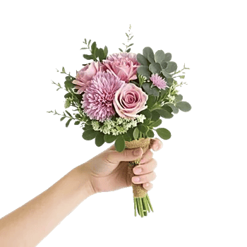 Petal Softness Display