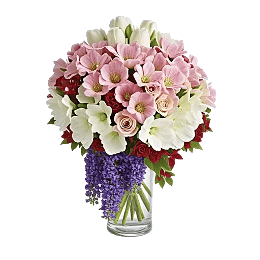 Ivory Blossom Radiance