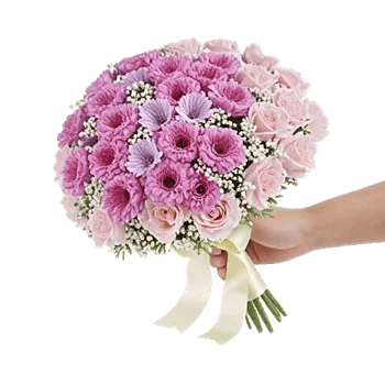 Petal Softness Display