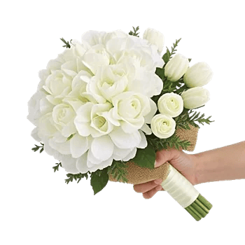 Ivory Blossom Radiance