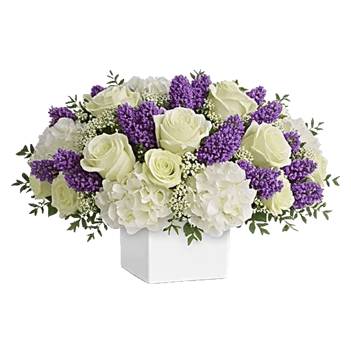 Serene Petal Harmony