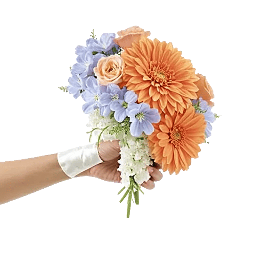 Blushing Rose Symphony