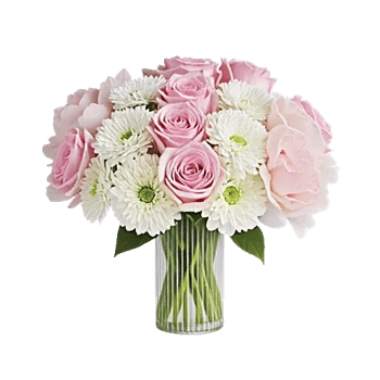 Petal Radiance Bliss