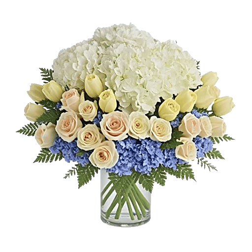 Ivory Blossom Radiance
