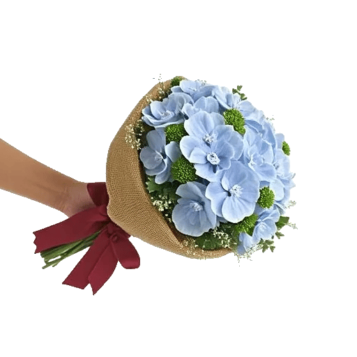 Sapphire Bloom Whisper