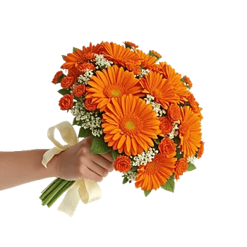 Petal Harmony Bliss