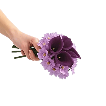 Elegant Calla Lilies