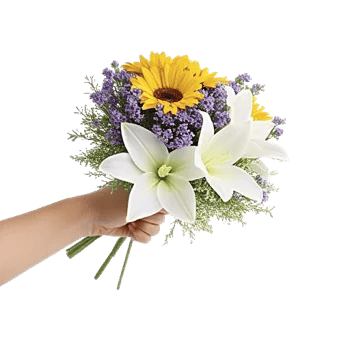 Blossom Harmony Display