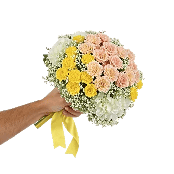 Petal Harmony Bliss