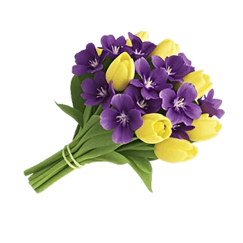Velvet Tulip Display