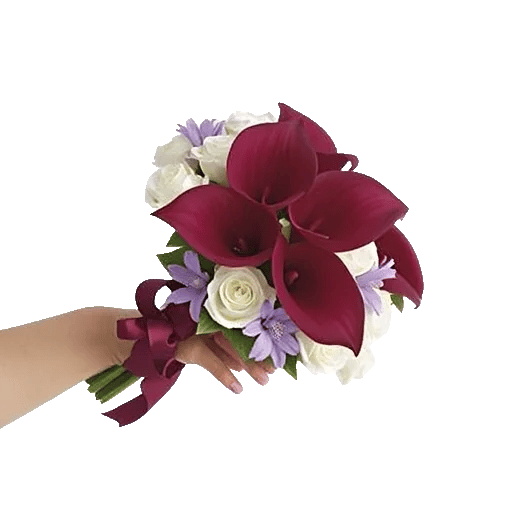 Elegant Calla Lilies