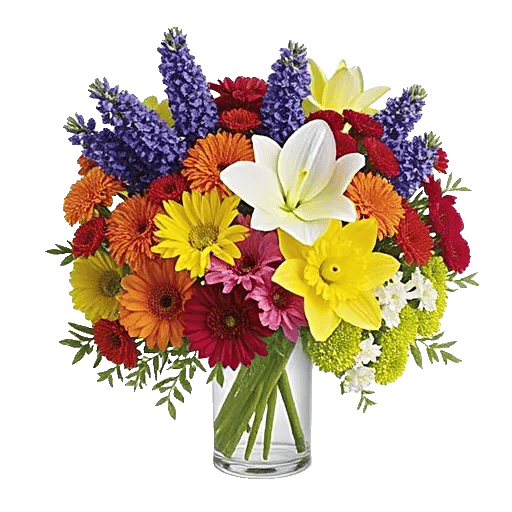 Petal Radiance Bliss