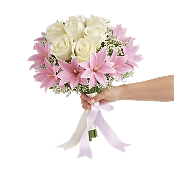 Blushing Rose Symphony