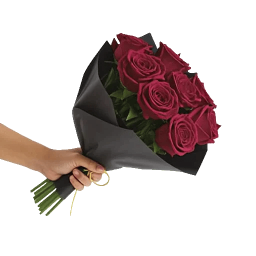 Crimson Rose Elegance