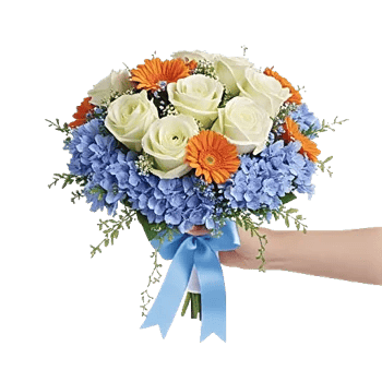 Serene Petal Harmony