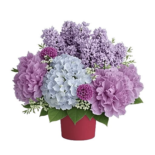 Lavender Bloom Grace