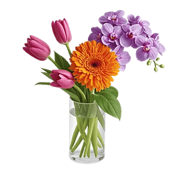 Velvet Tulip Display