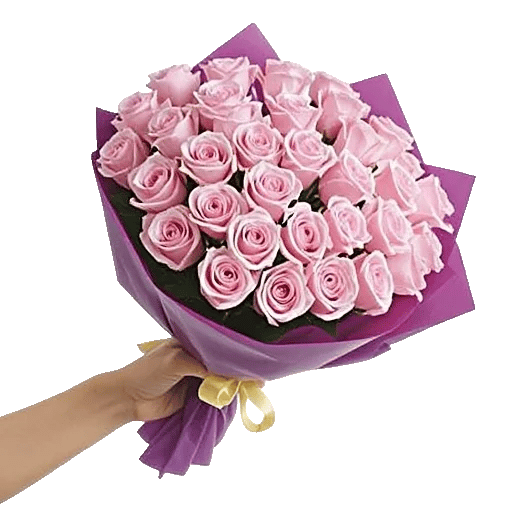 Pastel Pink Roses