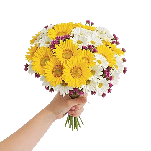 Blossom Harmony Display